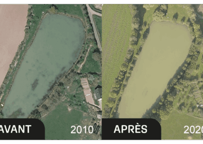 Étang de parc