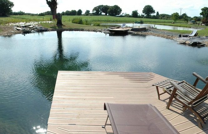 piscine-naturelle-mayenne