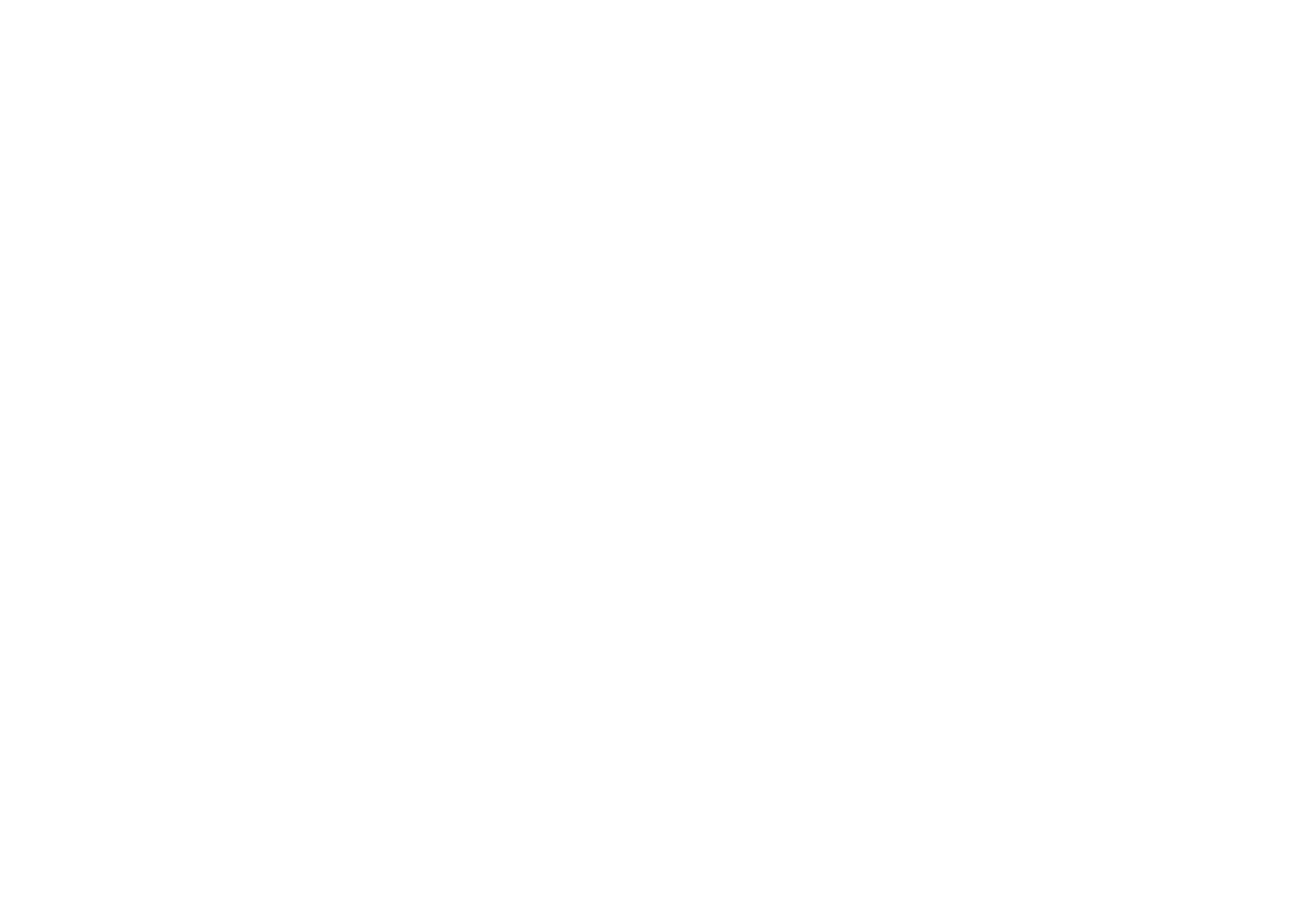 Logo Optical.com